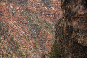 Narrow Canyon Wall Texture In Zion