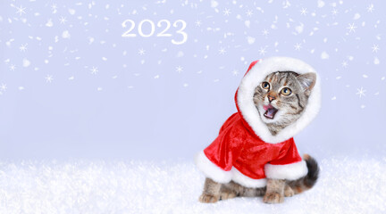 Cat looks at the inscription 2023  and licking its lips. Happy New Year. Surprised Cat with open mouth. Santa Clauson the white background. Greeting card. Merry Christmas. Web banner with copy space. 