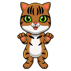 Fototapeta na wymiar Cute bengal cat cartoon standing