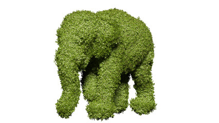 Elephant Shaped Hedge isolated