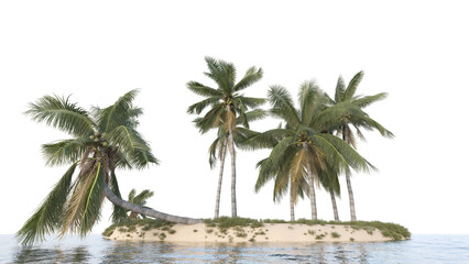 palm trees on island, coconut trees on island