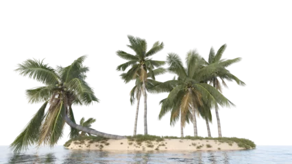 Fotobehang palm trees on island, coconut trees on island © Poprock3d