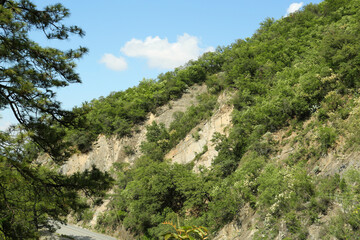 Fototapeta na wymiar Beautiful mountain with trees, flowers and bushes near road