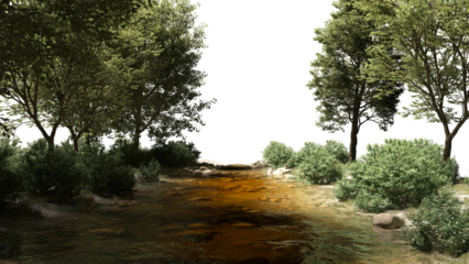 Streams and riverside plants stream environment