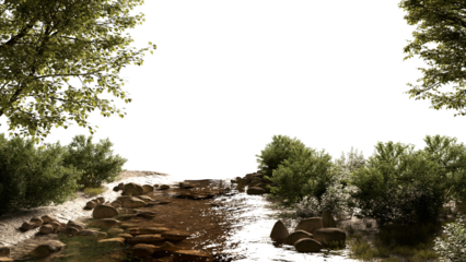 Streams and riverside plants stream environment