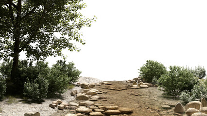 Streams and riverside plants stream environment