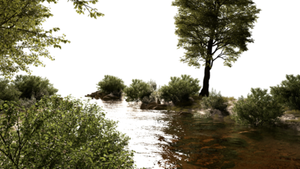 Streams and riverside plants stream environment