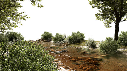 Streams and riverside plants stream environment