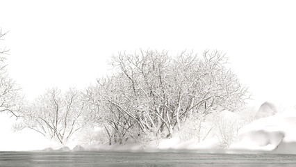 Winter trees surrounded frozen lake landscape
