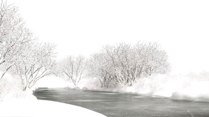 Winter trees surrounded frozen lake landscape