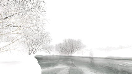 Various winter trees surrounded frozen stream