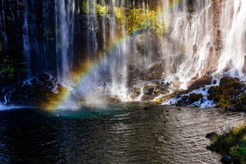 Shiraito Falls, which is formed by overflowing underground water from Mt. Fuji, was exposed to the sun and a rainbow appeared.