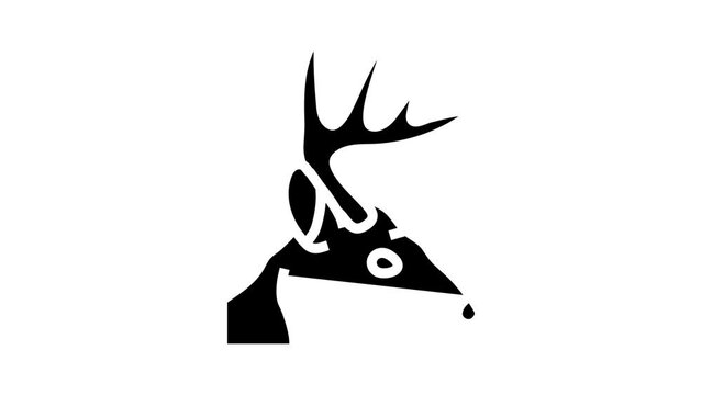 deep animal zoo glyph icon animation