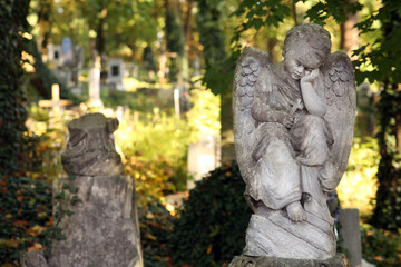 Fototapeta na wymiar Beautiful statue of angel at cemetery, space for text. Funeral ceremony