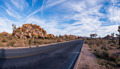 Road trip with Joshua trees at sunset landscape around. California, USA