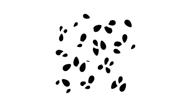 duckweed seaweed glyph icon animation