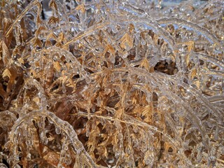 close up of icy grass
