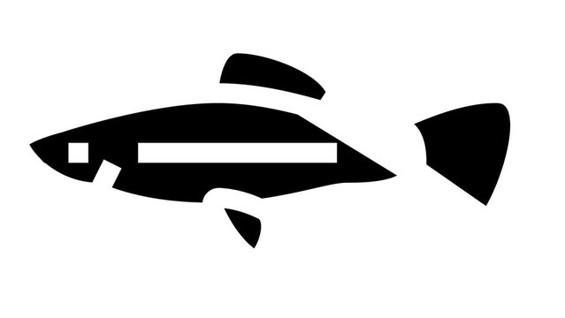 swordtail fish glyph icon animation