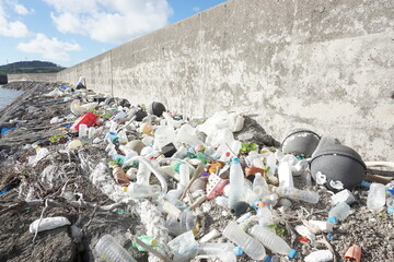 環境保全、港に集まる
