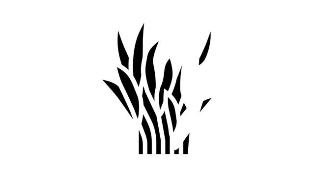 java fern glyph icon animation