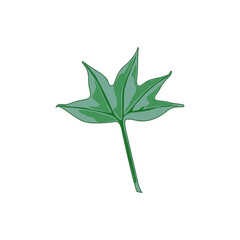 vector illustration of a leaf shape in green color