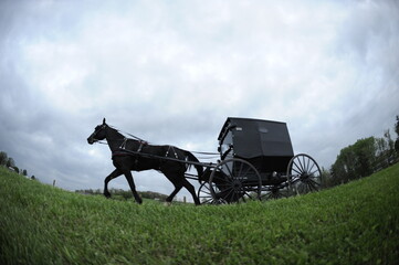 Fototapeta na wymiar amish horse and carriage in the country 
