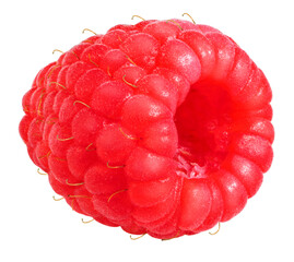 Red Raspberry on white background, Fresh Raspberries on White Background PNG File.