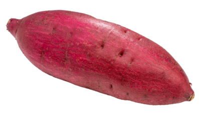 Fresh sweet potato on white background, Japanese Sweet Potato on White Background PNG File.