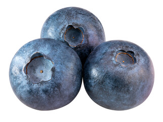 Blueberries fruit on white background, Fresh Blueberry on White Background PNG File.