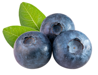 Blueberries fruit with leaf on white background, Fresh Blueberry on White Background PNG File.