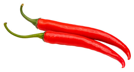 Red chilli pepper isolated on white background, Red chilli on White Background With clipping path.