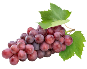 Red grape with leaves  on white, Bunch of fresh red juicy grapes on white, With clipping path.