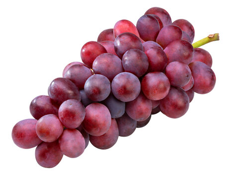Red grape with leaves  on white, Bunch of fresh red juicy grapes on white, With clipping path.