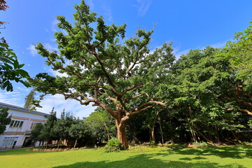 Fototapeta premium Kenting National Forest Recreation Area in Hengchun Township, Pingtung County, Taiwan
