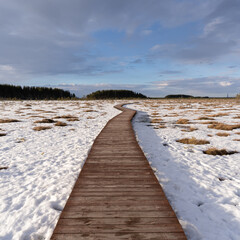 Winter landscape. Eco trail in the reserve.