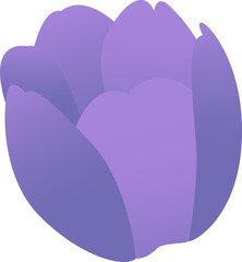 Tulip floral flower,png