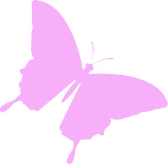 butterfly  illustration png
