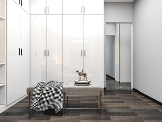 3D rendering, wardrobe and dresser design in the cloakroom