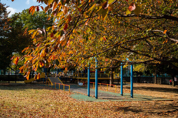 秋の公園