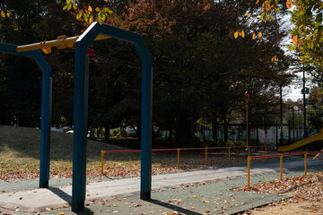 秋の公園