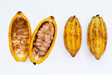 Cocoa fruit isolated on white background