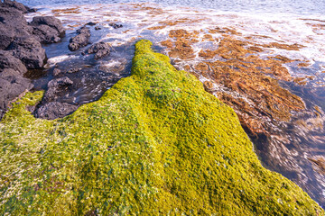 Beyond the sea Mountain. jeju Sanbangsan in south korea.