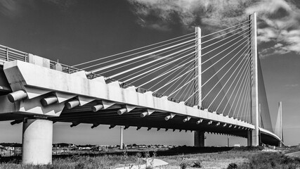 Bridge support cables black and white