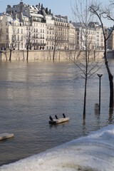 Landscape in paris in the winter, monuments, birds and snow.  11 February 2021 at 5:35 am
