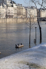 Landscape in paris in the winter, monuments, birds and snow.  11 February 2021 at 5:35 am