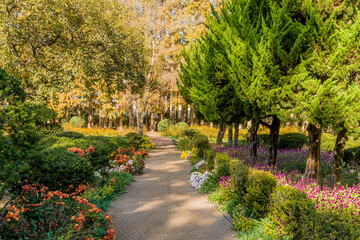 Path in beautiful rural park on sunny autumn afternoon.