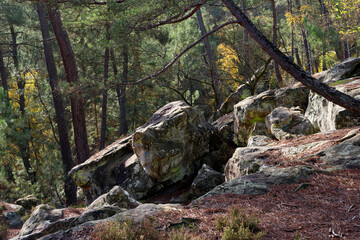 Rocky chaos in the Gorges of Houx. Fontainebleau forest