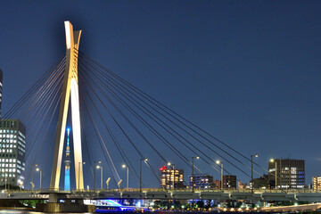Fototapeta na wymiar 隅田川に架かる中央大橋の間から望む東京スカイツリー夜景