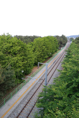 A railroad track running diagonally through the woods