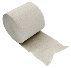 toilet paper roll on white